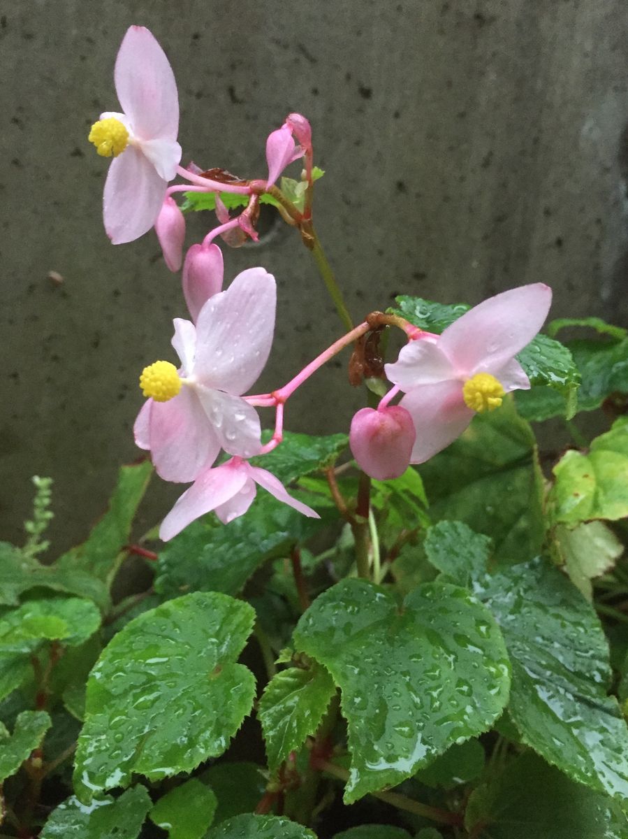 台風前に