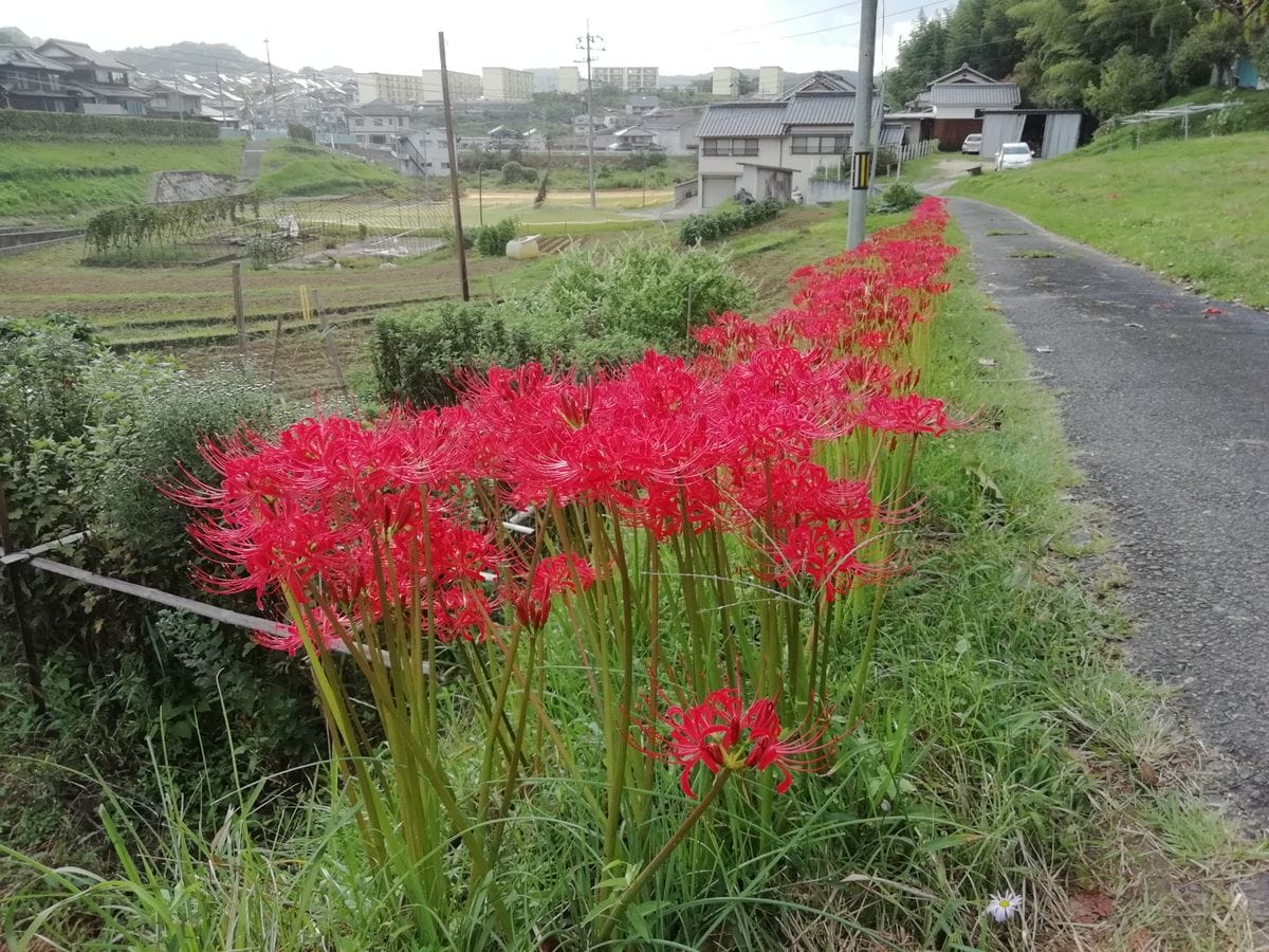 颱風24号通過中