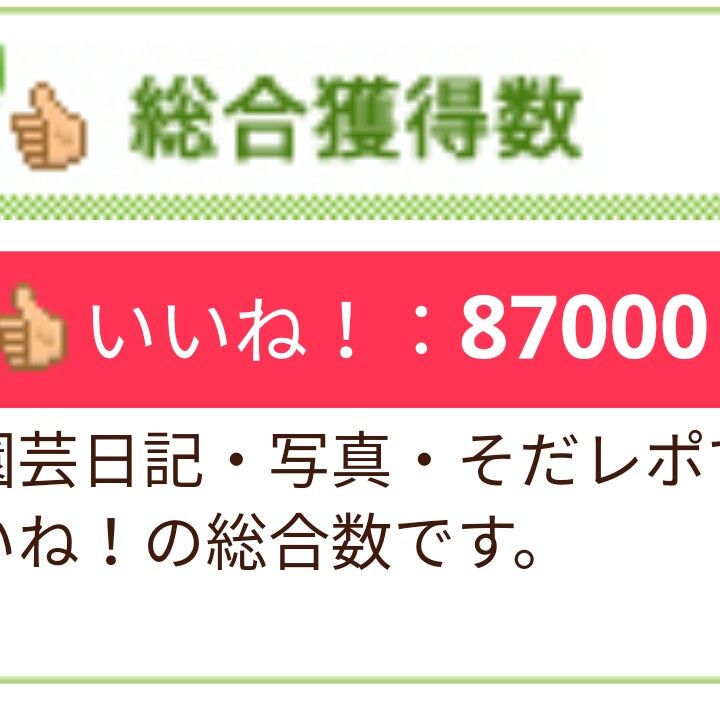 87000、はなーーー🌼🌼🌼