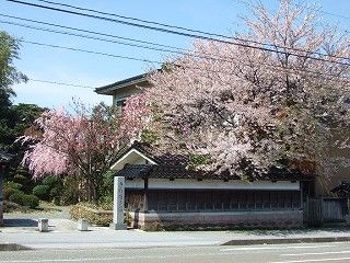 donyiの散歩道①