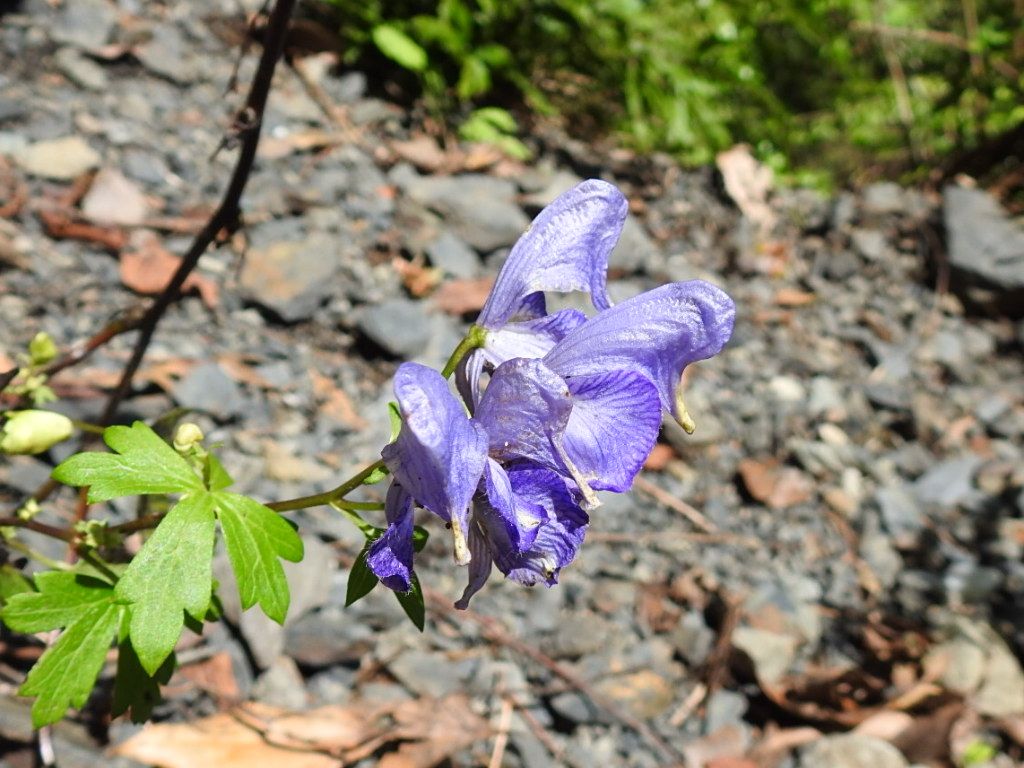 登り切った～っ！！