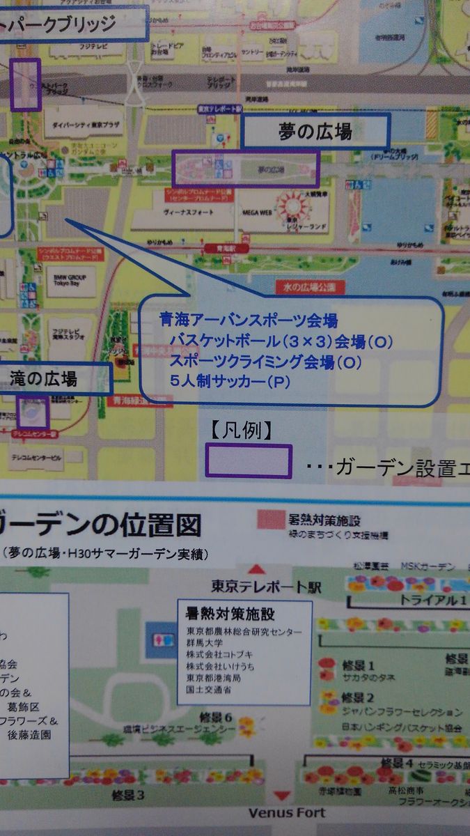 臨海副都心「花と緑」のおもてなしプロジェクト