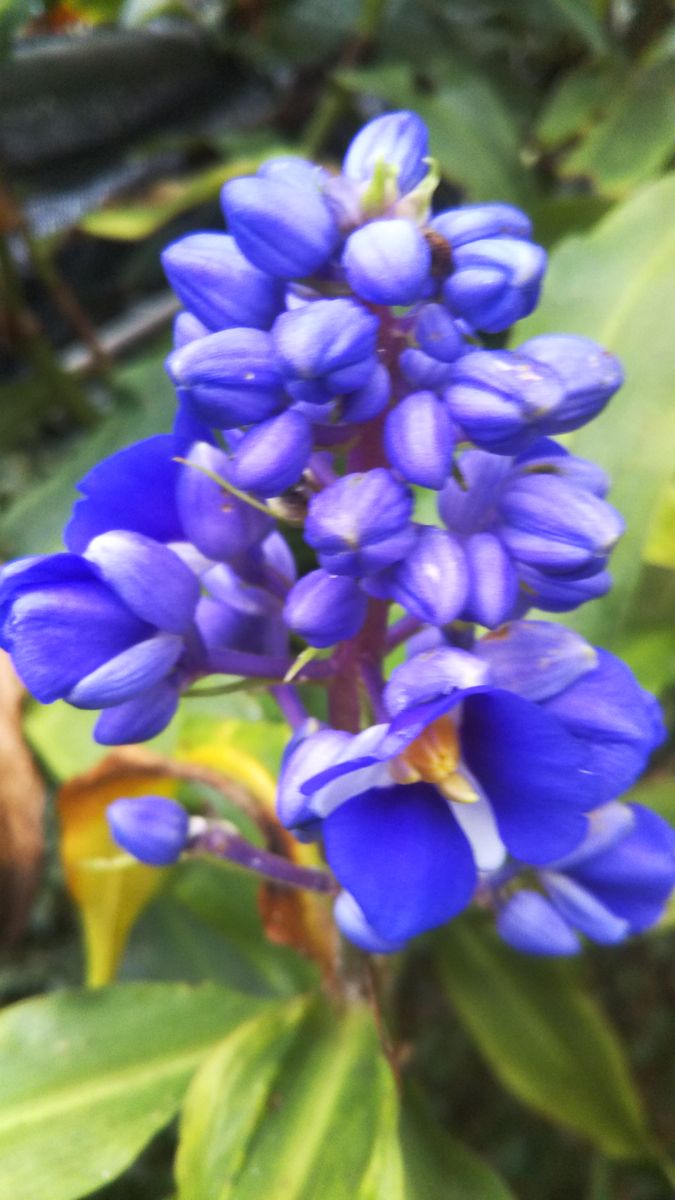 赤塚植物園へ