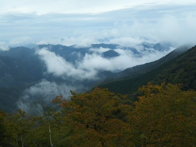 京都、高野山、立里荒神に行ってきました