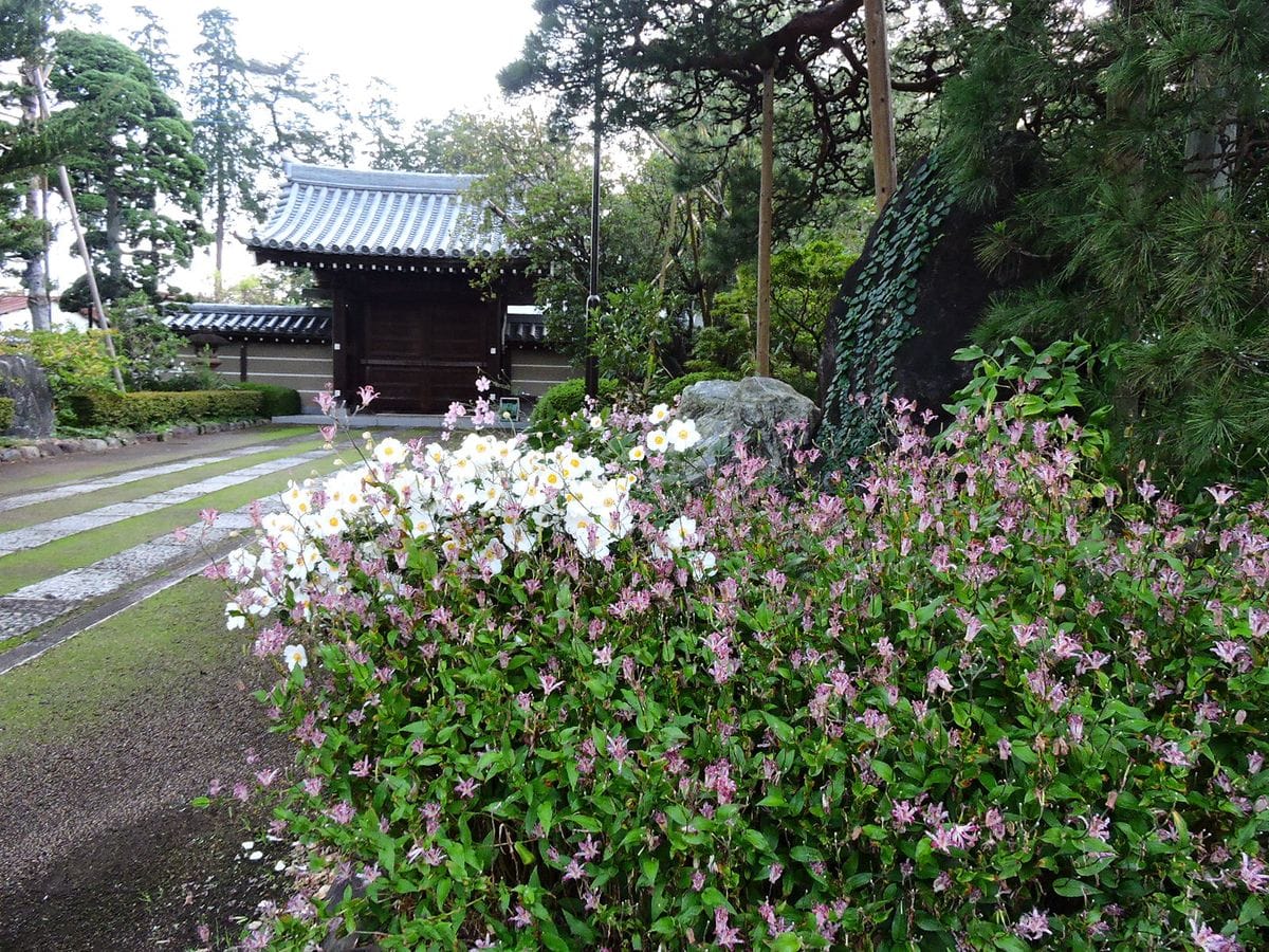 東京にて