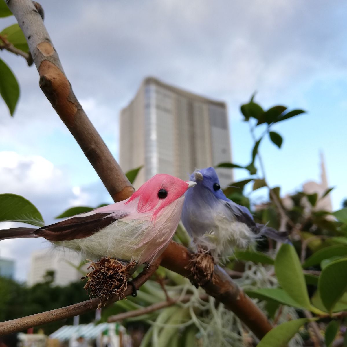 日比谷公園ガーデニングショー