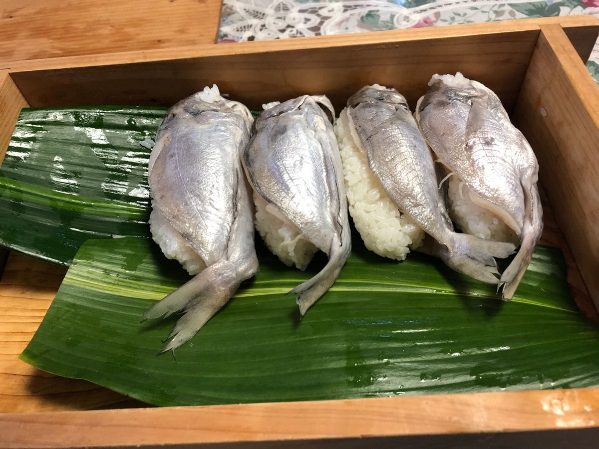 ボウゼと鯵の魚ずし