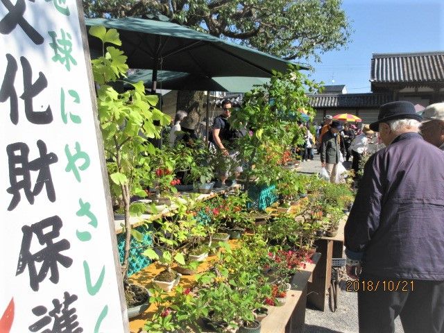 「いらっしゃい！いらっしゃい！安いでっせ！」弘法さん