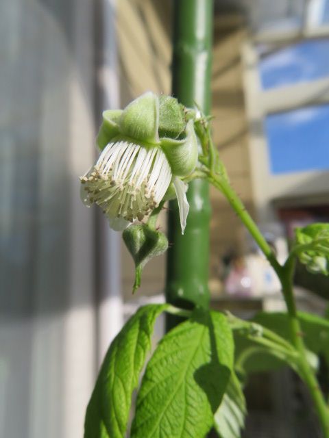 秋晴れの一日でした。(*´∪｀)