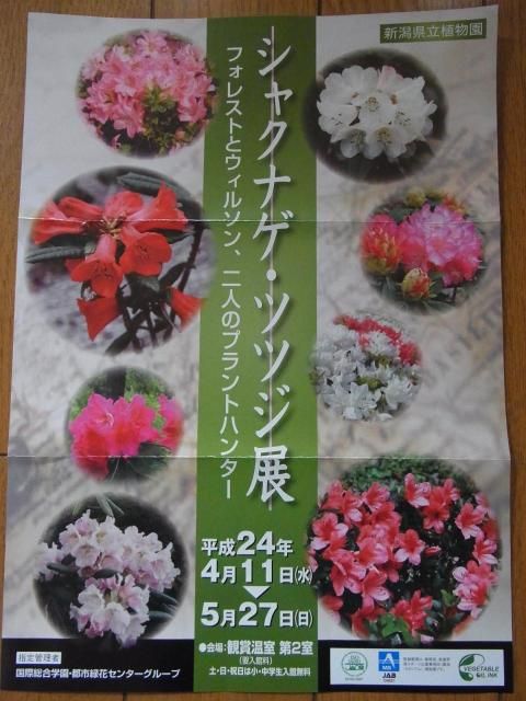 「新潟県立植物園…「シャクナゲ・ツツジ展」