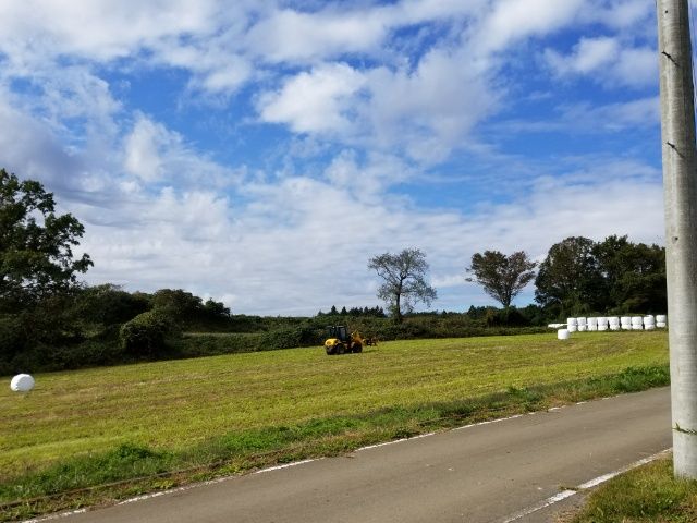 秋晴れの牧草地