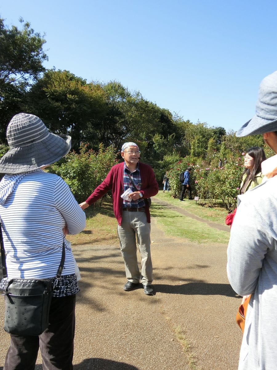 京成バラ園に出掛けてきました