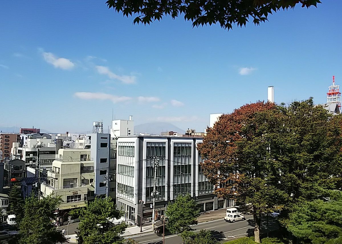 盛岡城跡公園🍁