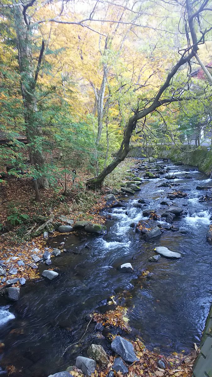 28日に扉温泉😌♨️🍶に🍁