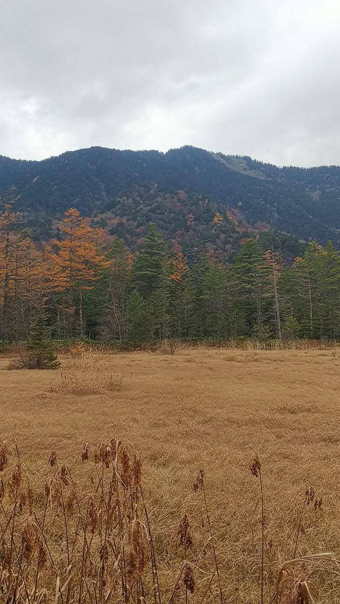 上高地は秋いろ🍁田代湿原から