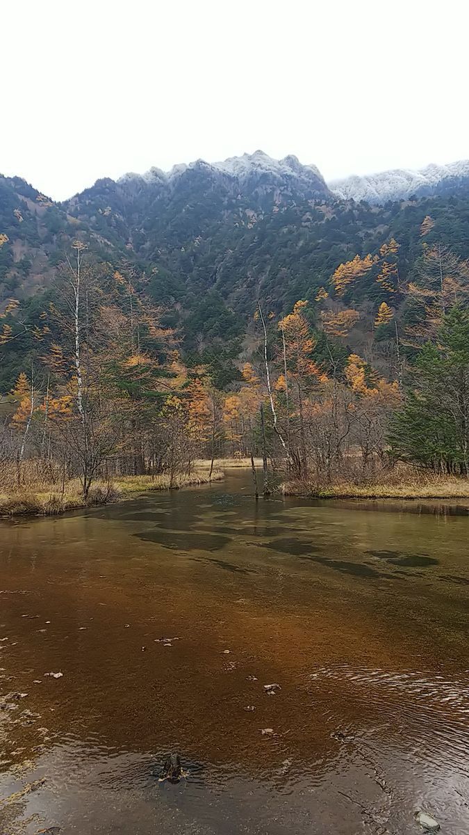 上高地は秋いろ🍁田代湿原から