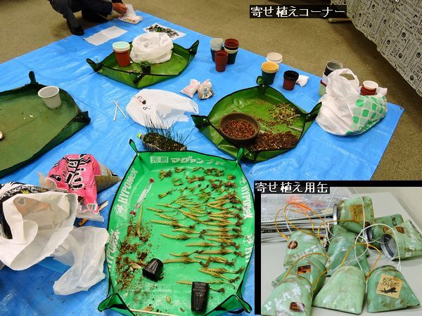 大津で多肉寄せ植えのイベント