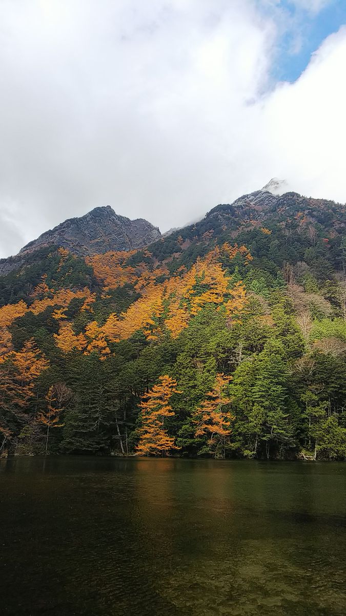 紅葉🍁の明神池