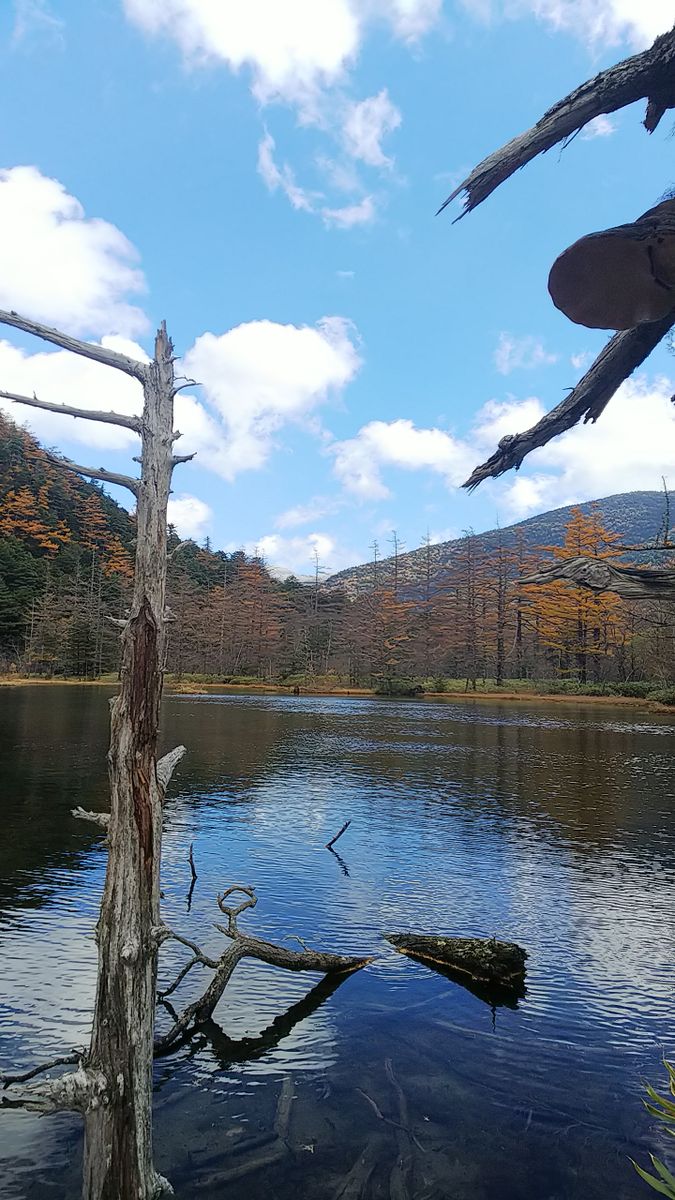 紅葉🍁の明神池