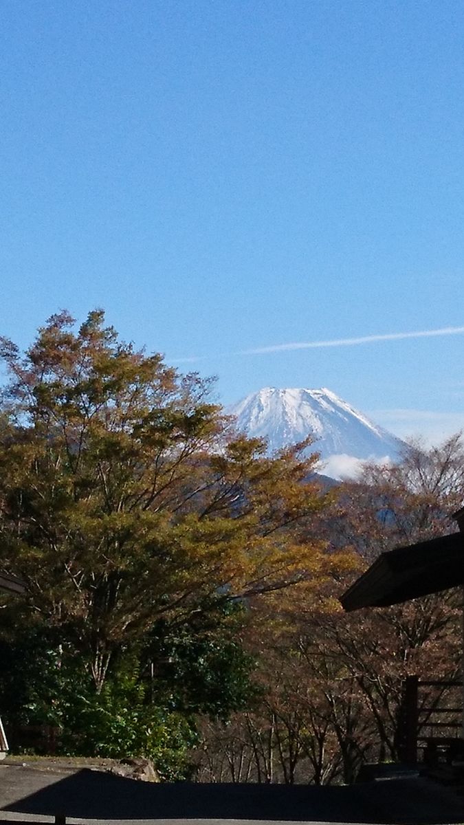 ネタ切れです😅