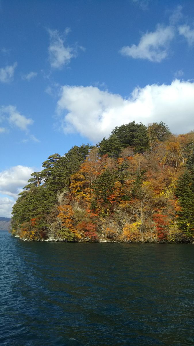 紅葉🍁狩り～２日目です🌫️