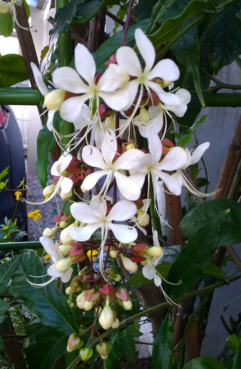 恵みの雨～(^-^)