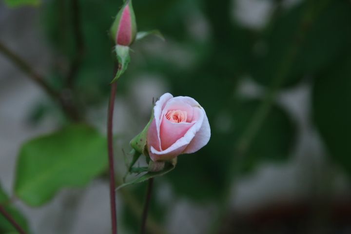 曇りはのんびり😌