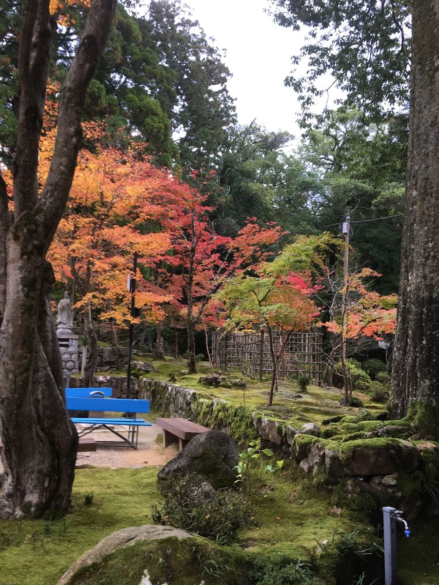 湖東三山へ