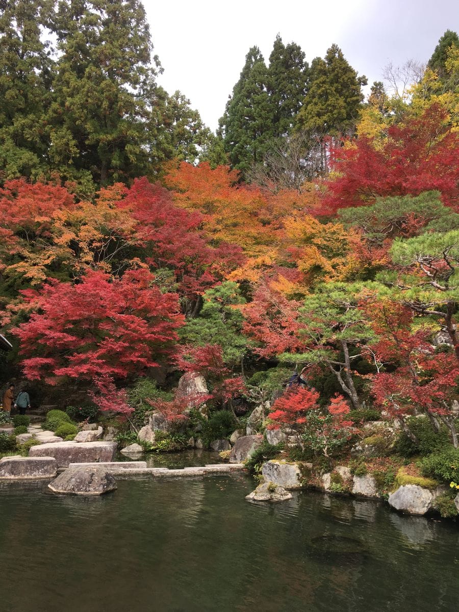 湖東三山へ