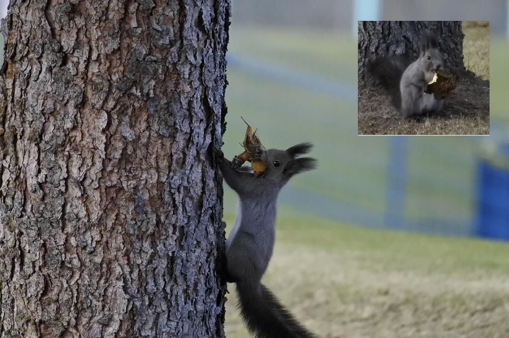 きのこ食べるんだ!?