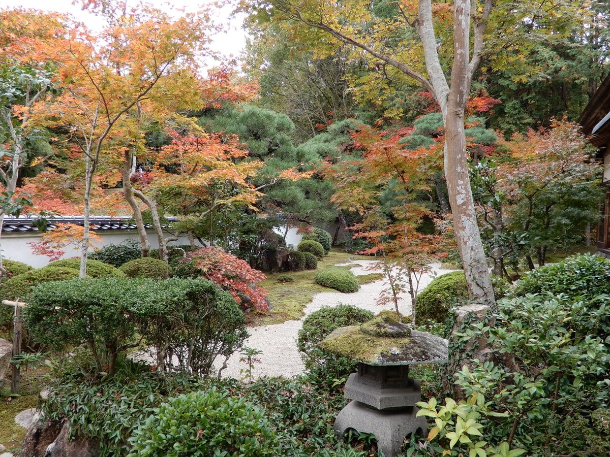 宝福寺の紅葉に行って来ました。