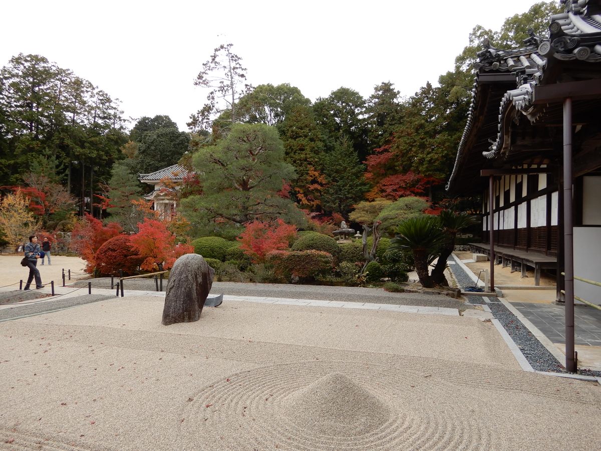 宝福寺の紅葉に行って来ました。