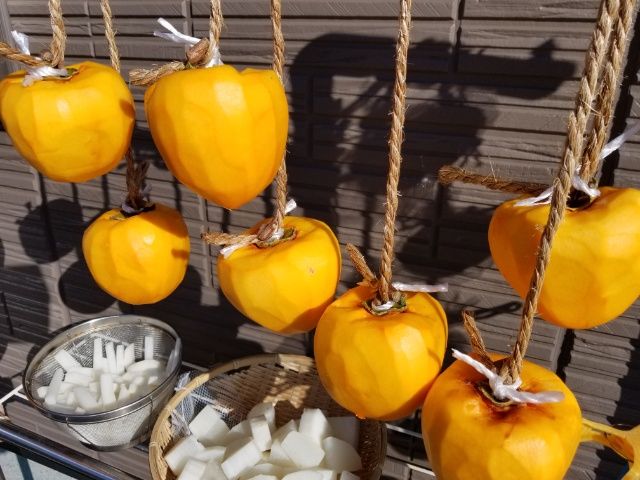 水生植物園の紅葉