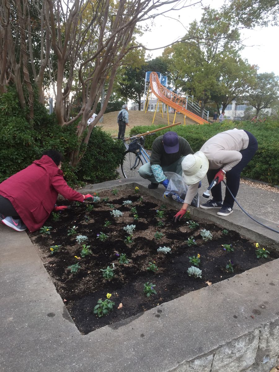 公園花壇の植え付け