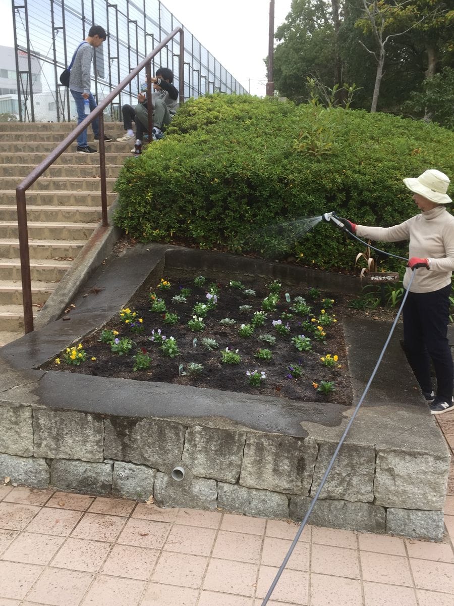 公園花壇の植え付け