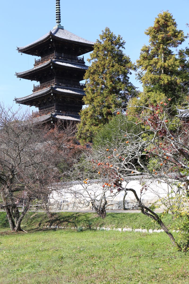 備中国分寺　五重塔