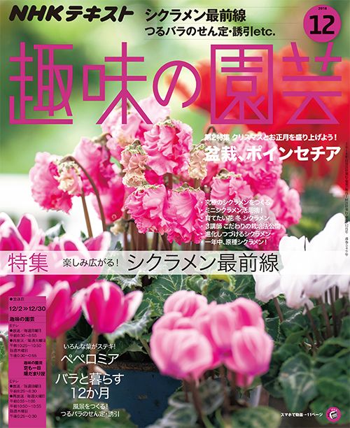 【テキスト掲載情報】『趣味の園芸』12月号に掲載されたメンバーを発表！