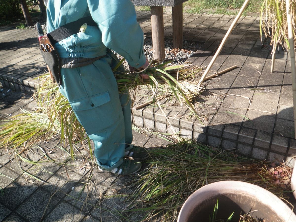 稲穂を「稲架掛け（はさかけ）」にしました