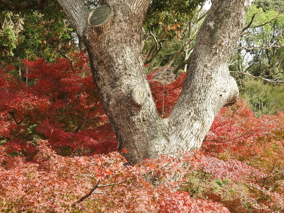 京都OF会に参加して