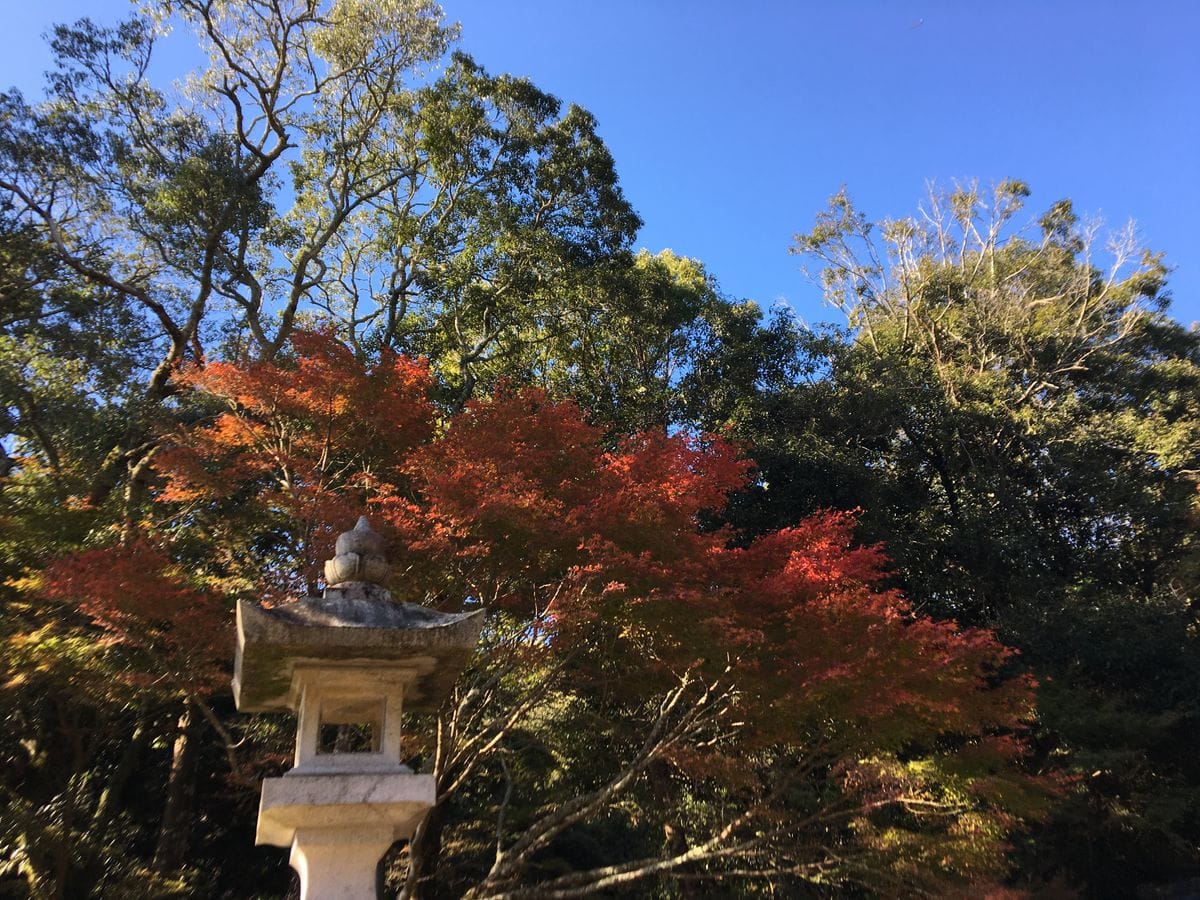 お寺詣りと紅葉少し 1