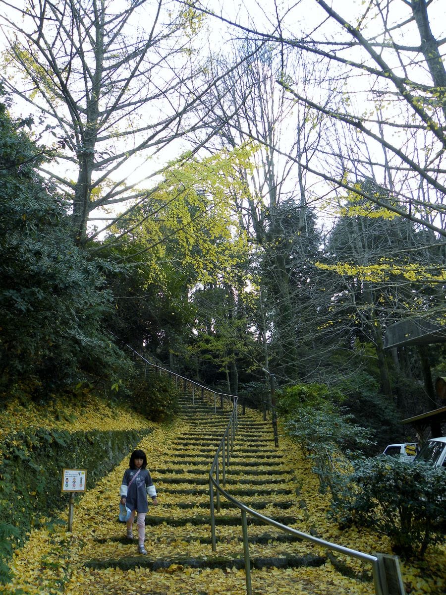 halu油山市民の森コンサート・・