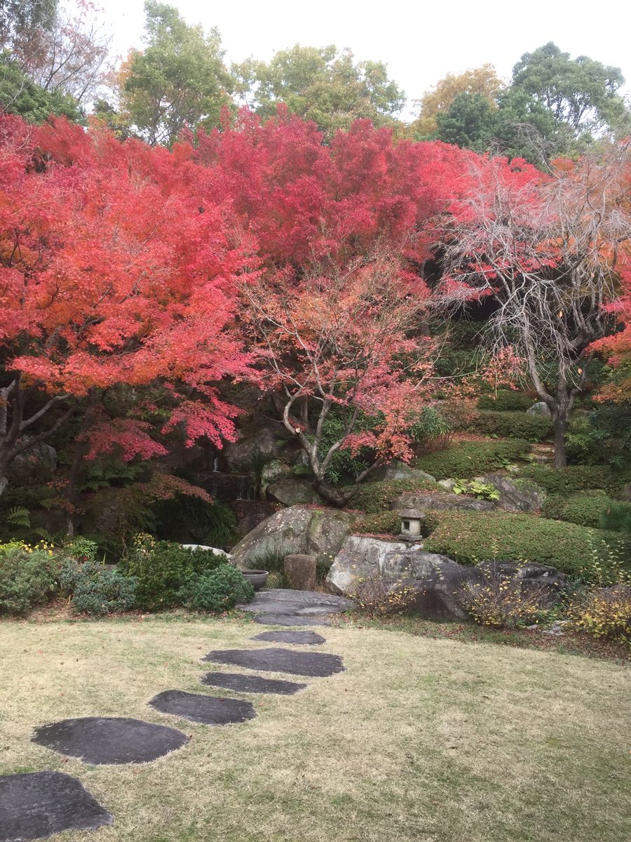 ミニオフ会と西宮市立北山緑化植物園