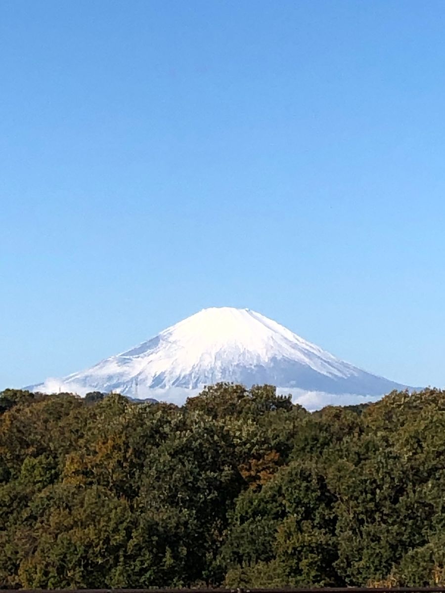 いい庭の日🎵