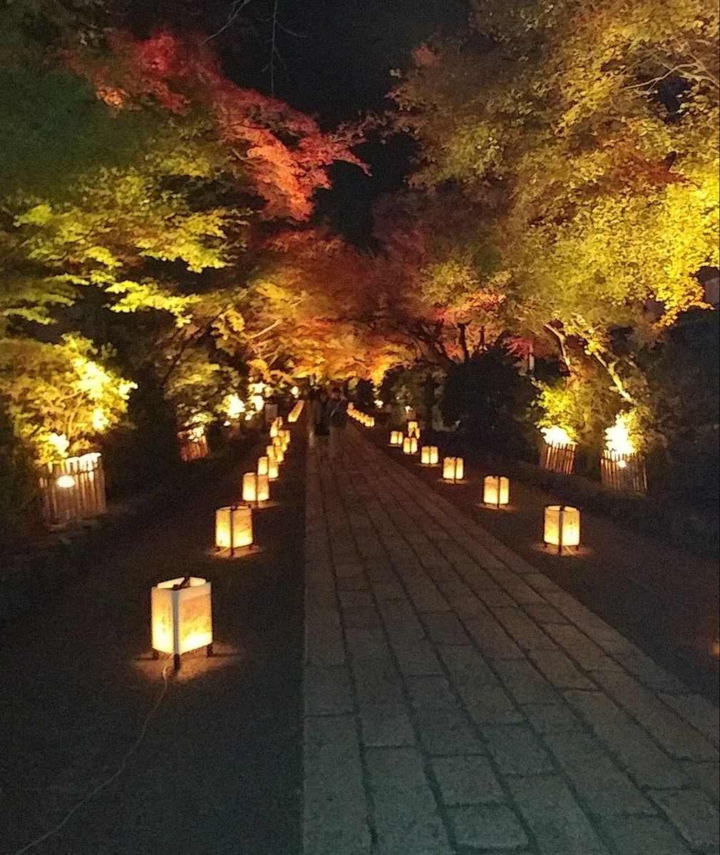 🍁石山寺ライトアップ🍁