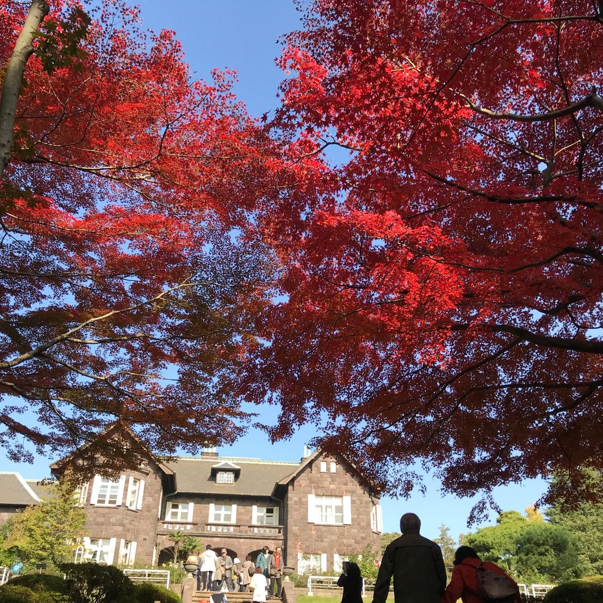 旧古河庭園の紅葉