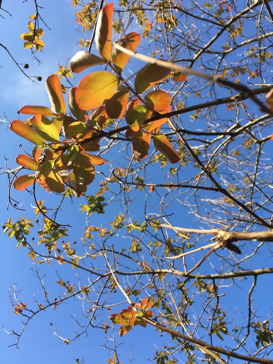 青空が眩しい✨