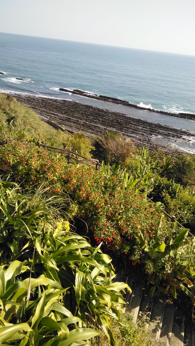 宮崎一泊旅行