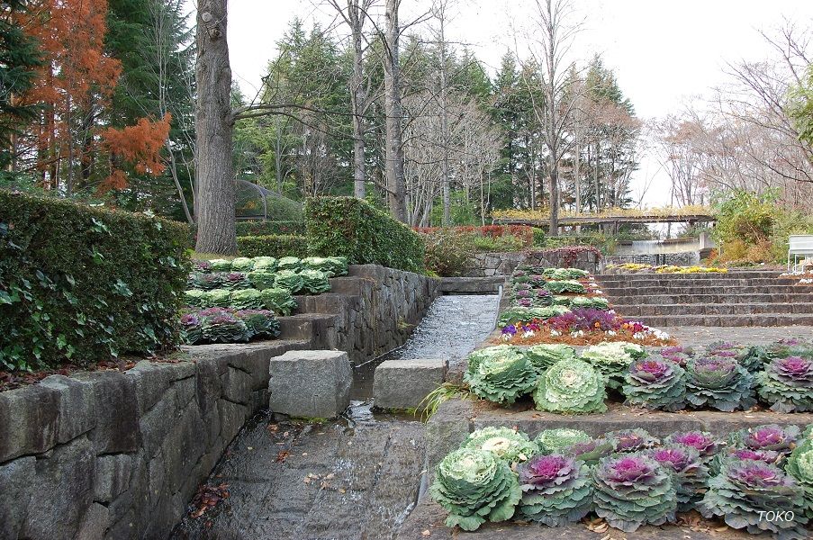 水戸市植物公園…秋から冬へ