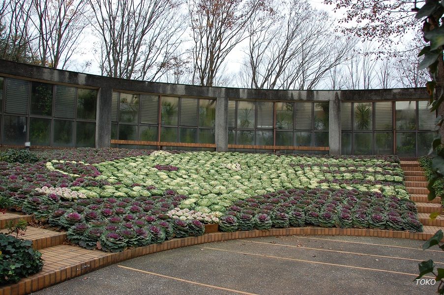 水戸市植物公園…秋から冬へ