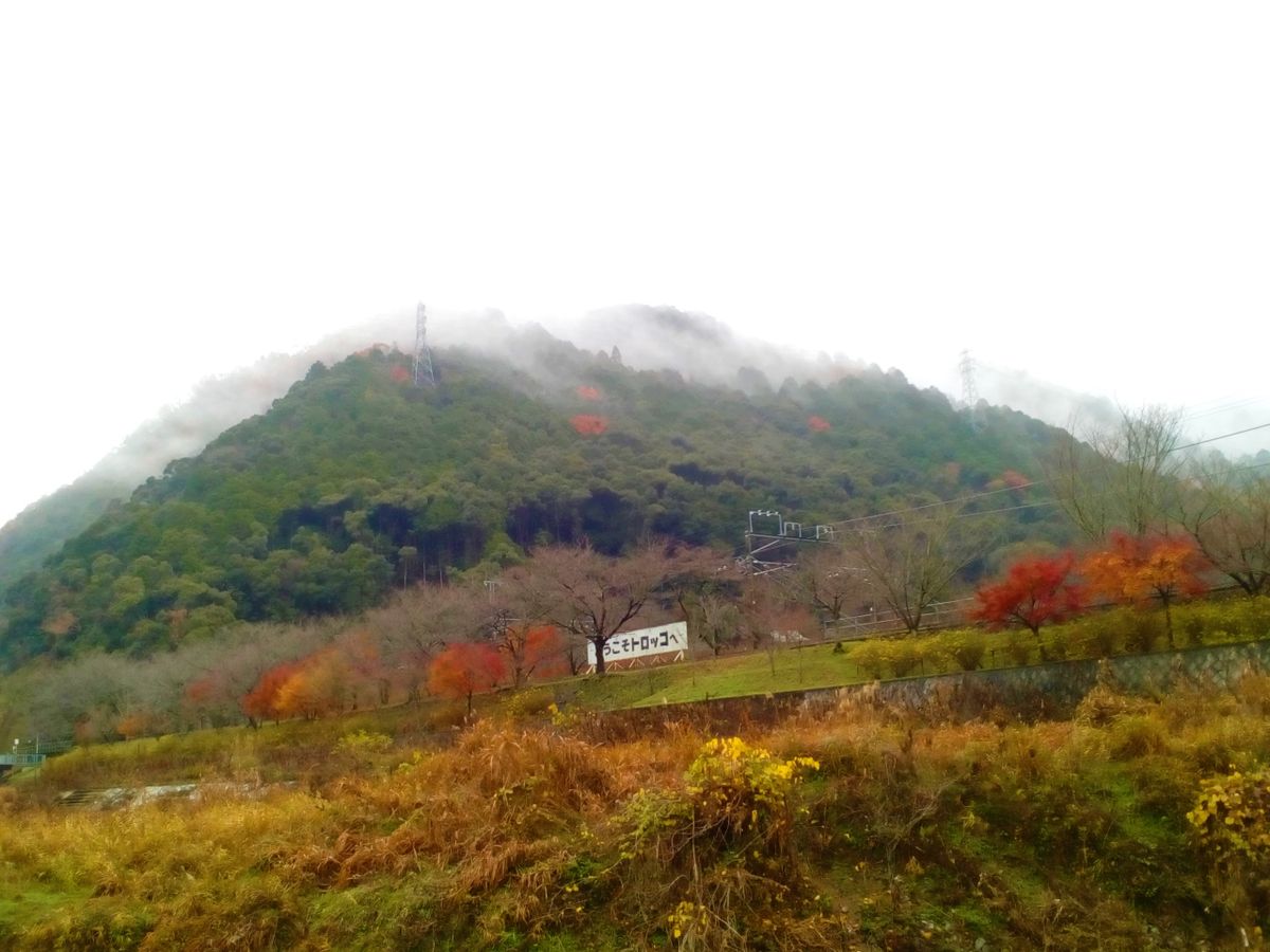 山から湯気が．．．♨